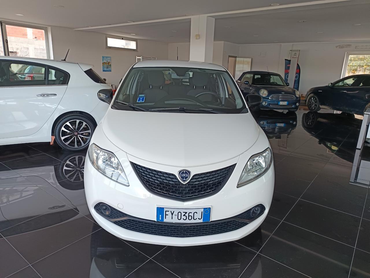 Lancia Ypsilon 1.2 69 CV 5 porte Gold