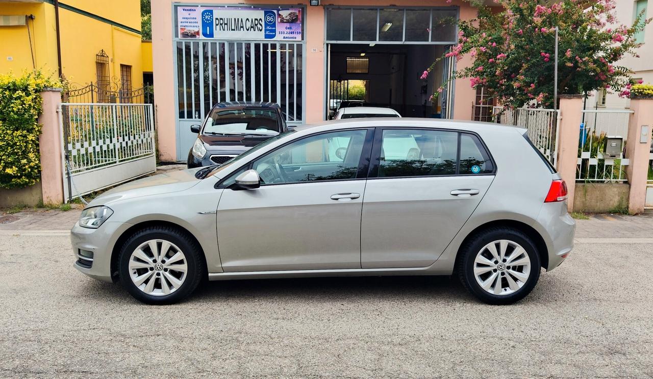 Volkswagen Golf Business 1.4 TGI DSG 5p. Highline BlueMotion