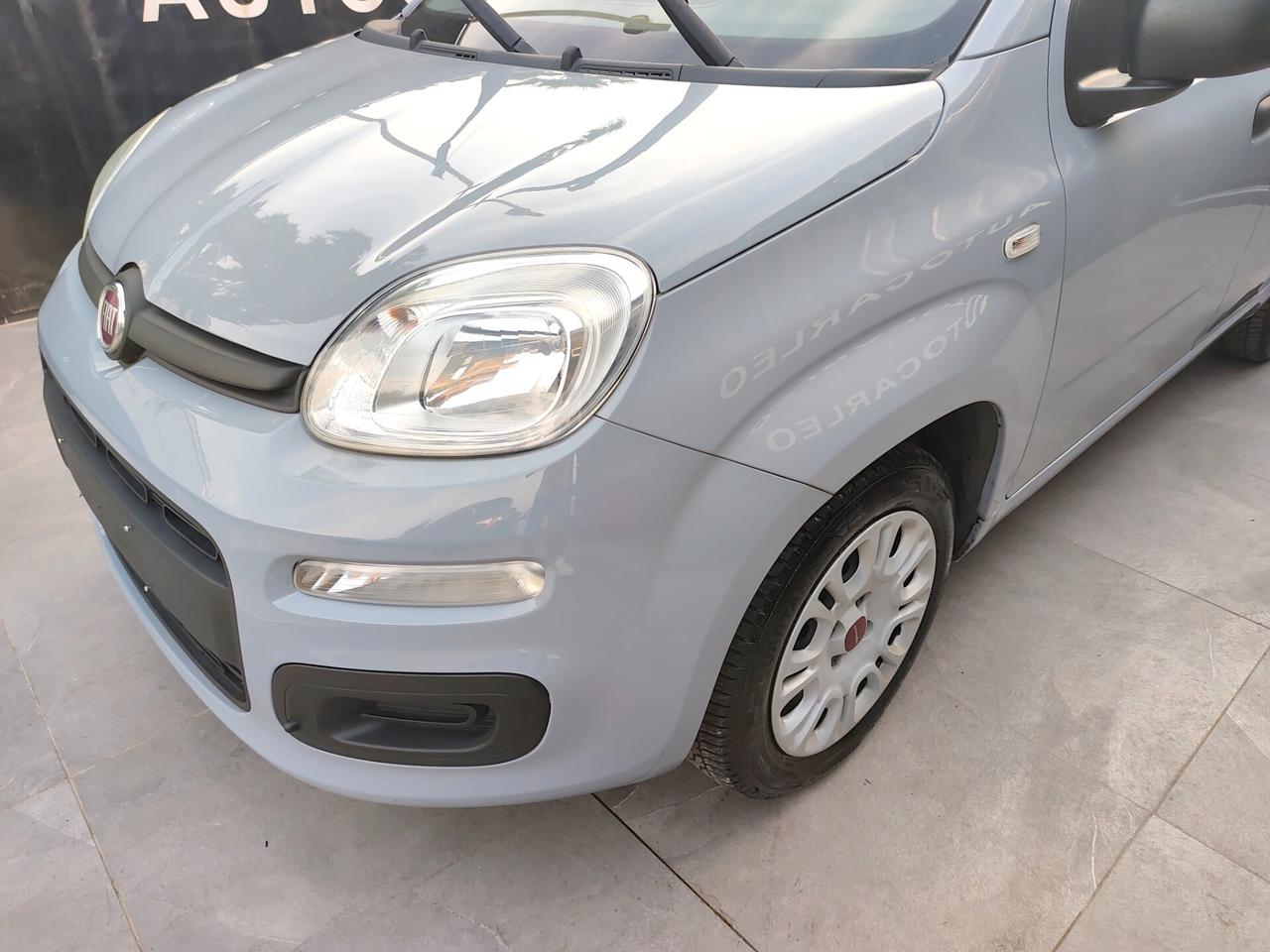 Fiat Panda 1.2 BENZINA GARANZIA 12 MESI