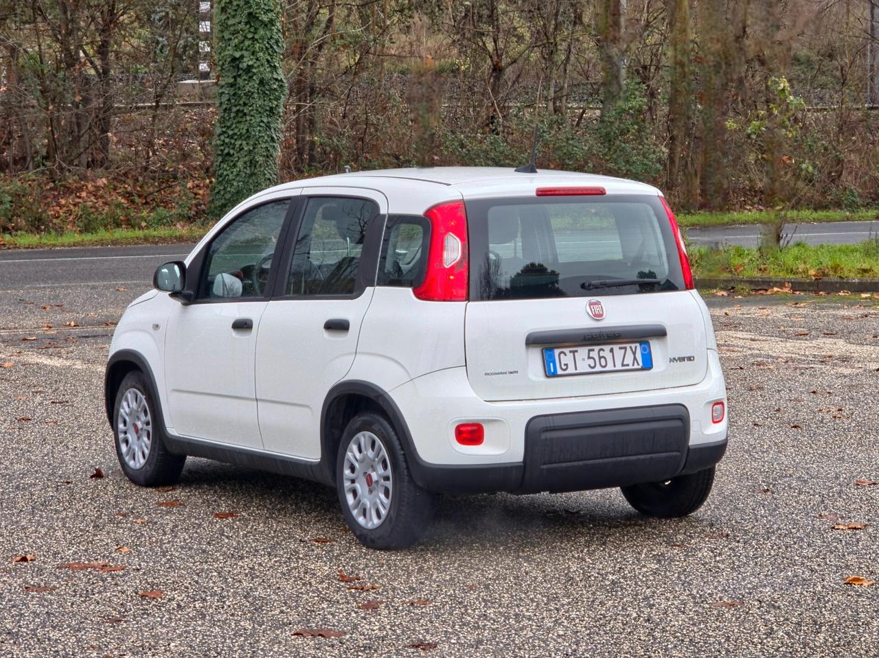 Fiat Panda 1.0 FireFly S&S Hybrid 2024-E6 Manuale NEO