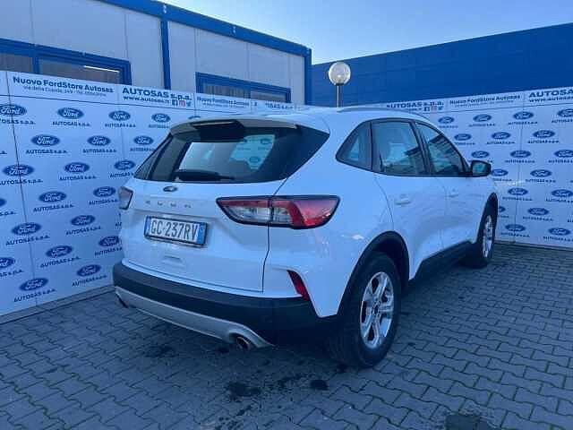 Ford Kuga 1.5 EcoBlue 120 CV 2WD Titanium Business