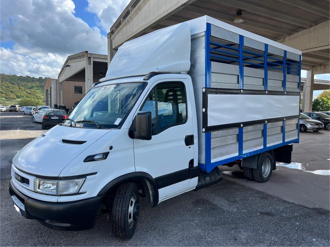 Iveco Daily 35c13 trasporto animali vivi Cavalli
