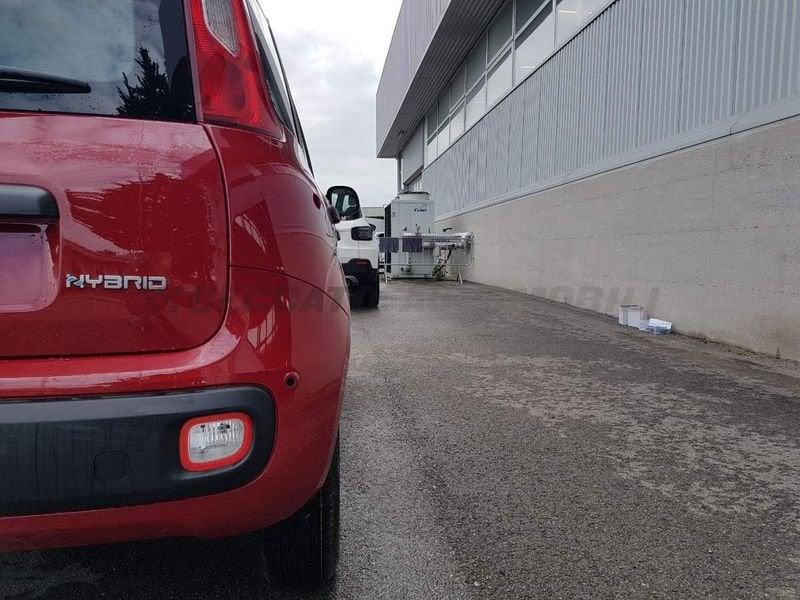 FIAT Panda Panda 1.0 firefly hybrid s&s 70cv