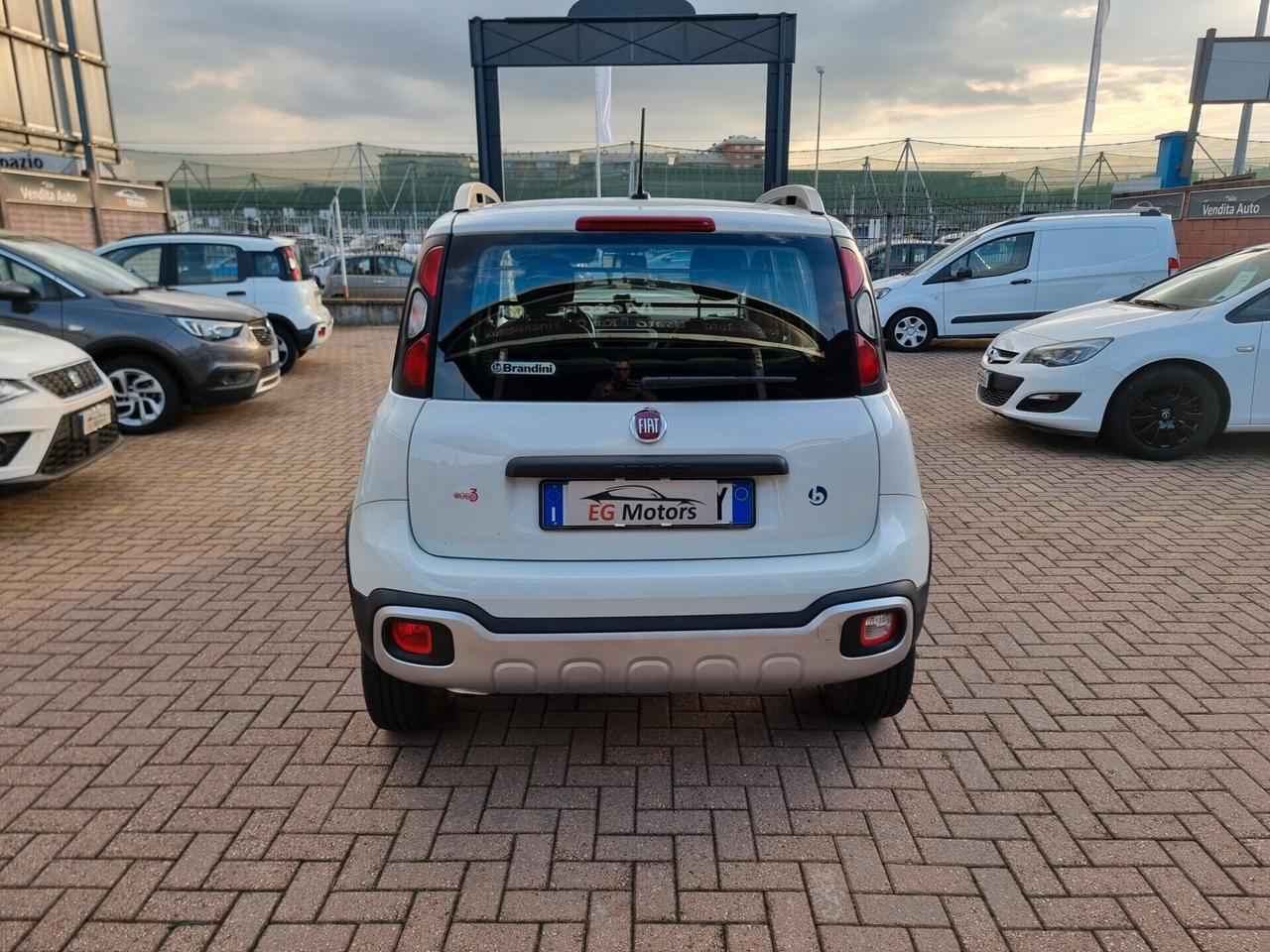 FIAT PANDA CROSS 4X4 TWIN AIR 85 CV VAN