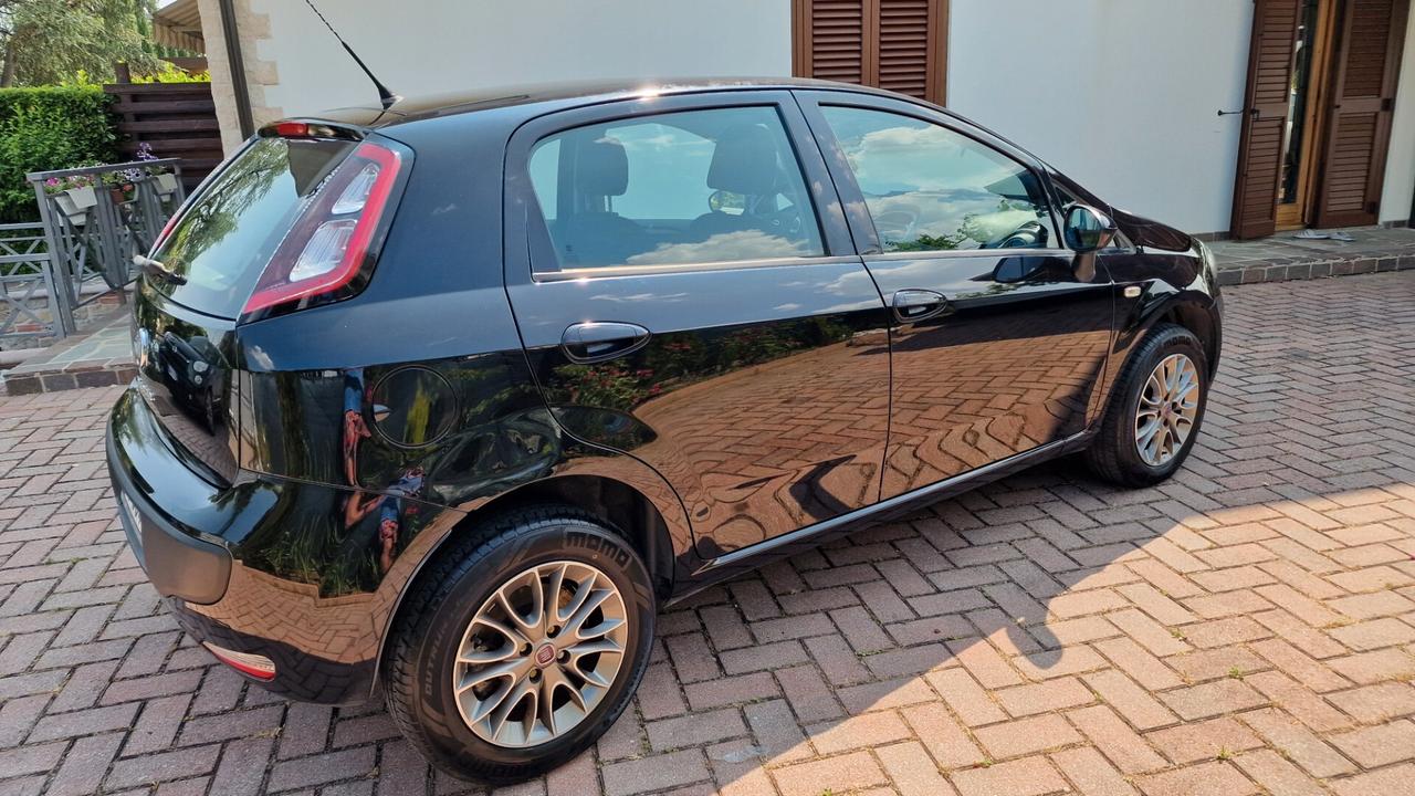Fiat Punto Evo Punto Evo 1.4 5 porte Emotion Natural Power