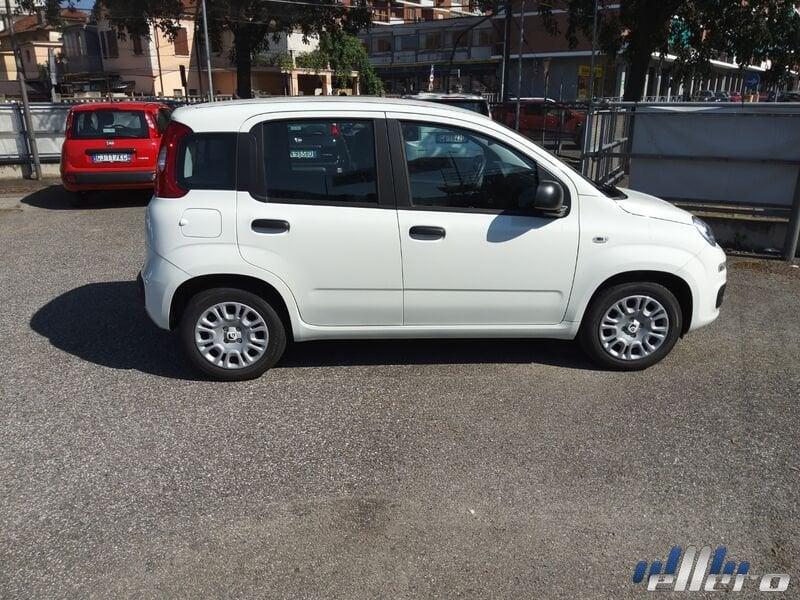 FIAT Panda MY25 1.0 70cv Hybrid