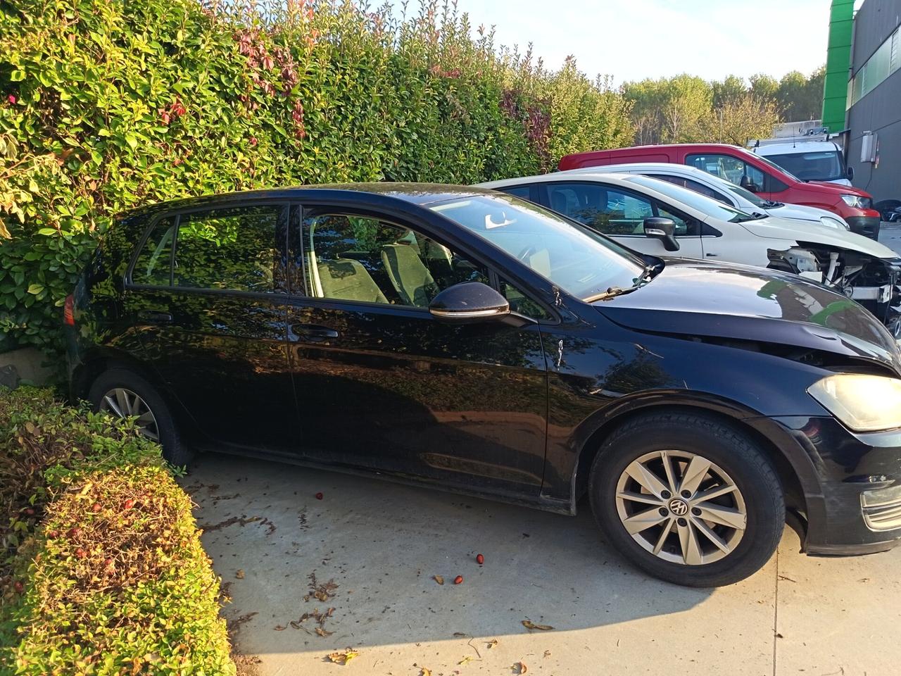 Volkswagen Golf 1.6 TDI 5p. Comfortline BlueMotion Technology