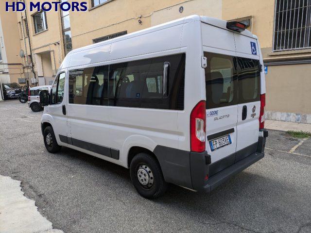 FIAT Ducato 33 2.3 MJT 150CV PM-TM trasporto disabili