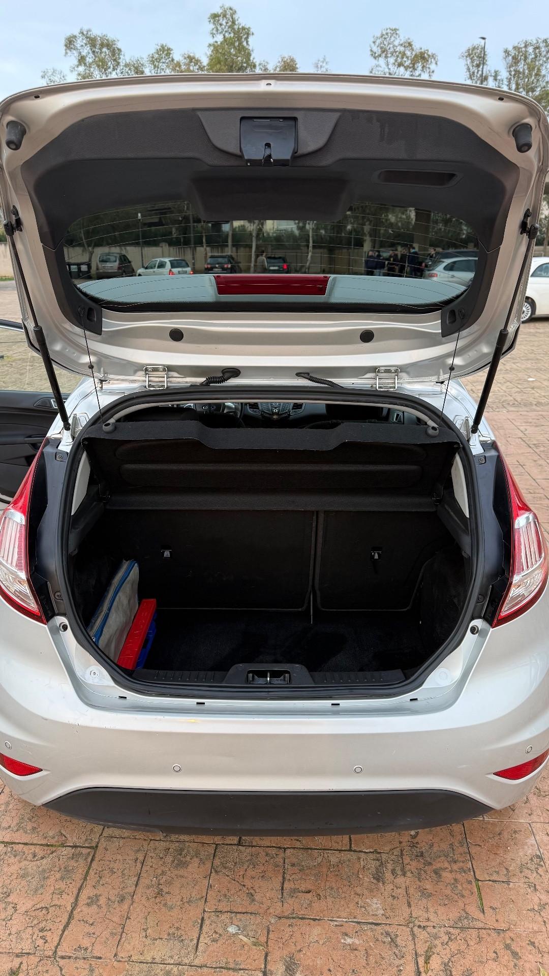 Ford Fiesta 1.5 TDCi 75CV 5 porte Titanium