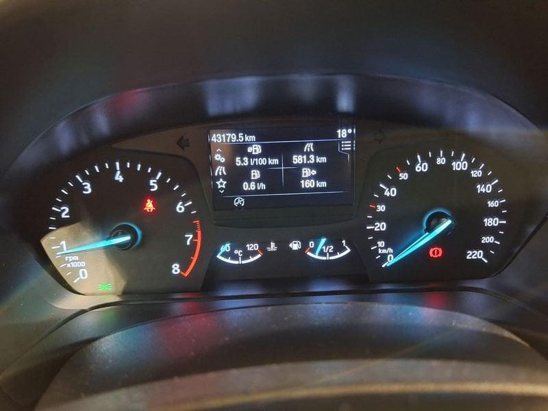 Ford Fiesta Active 1.0 Ecoboost 95 CV