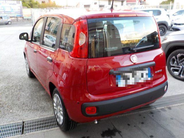 FIAT Panda MY25 - 1.0 FireFly Hybrid ICON
