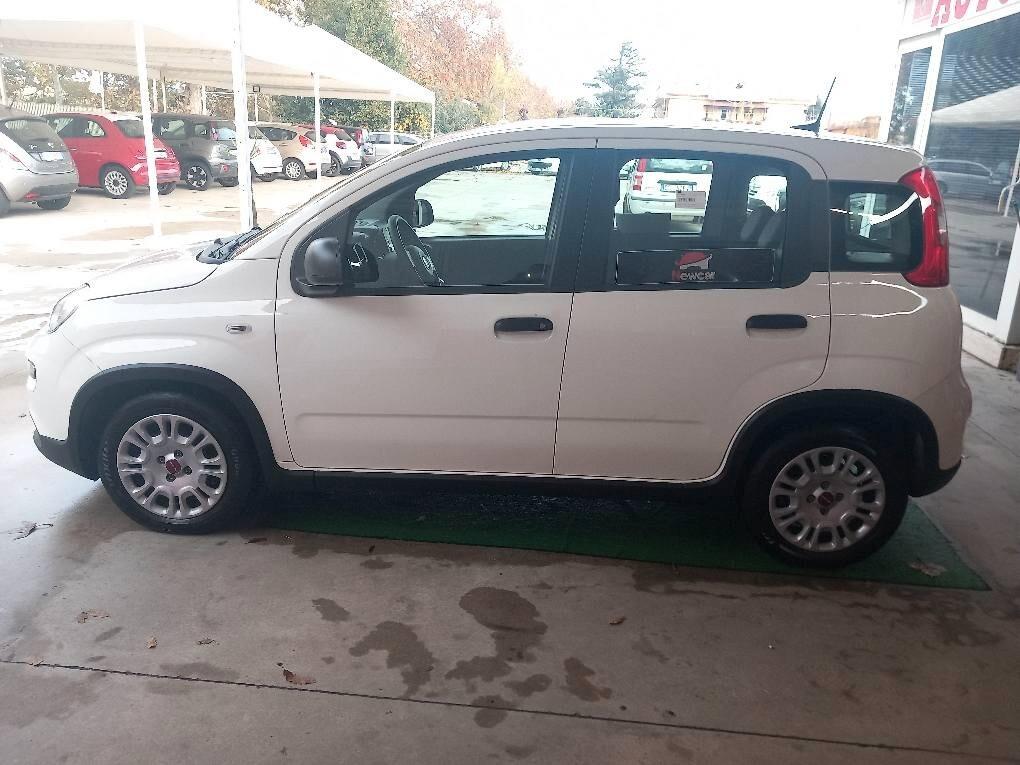 Fiat Panda 1.0 FireFly S&S Hybrid KM 18000 MONITOR SENSORI COMANDI VOLANTE GARANZIA