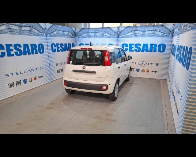 FIAT Panda 1.0 firefly hybrid Icon s&s 70cv