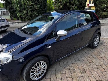 Fiat Punto 1.2 8V 5 porte Lounge neopatentati