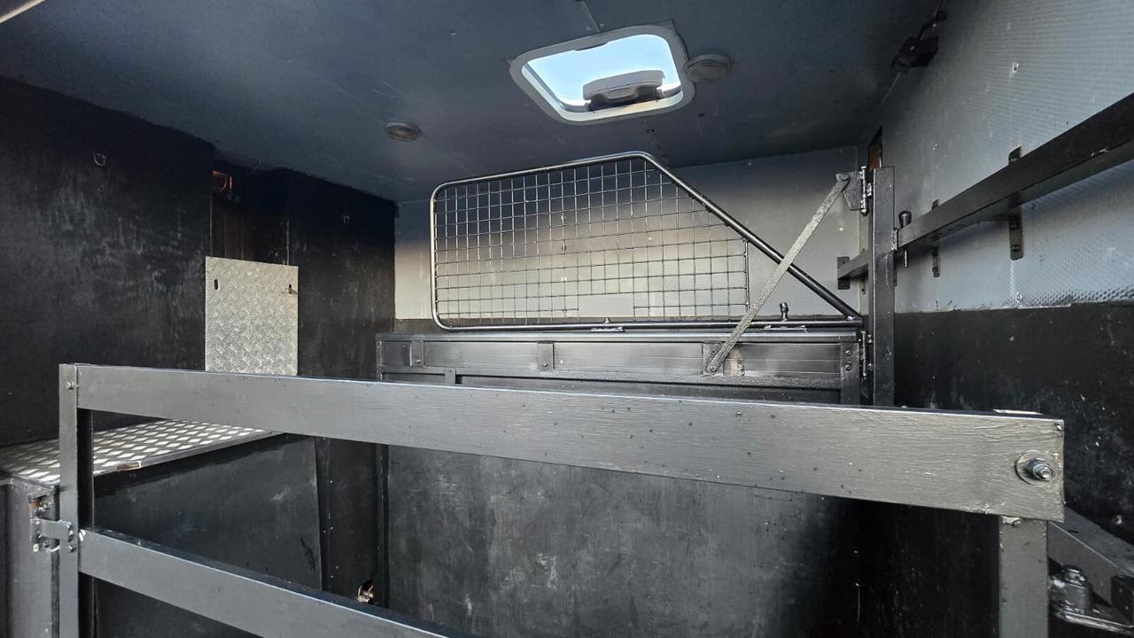 Iveco Daily - Trasporto Cavalli