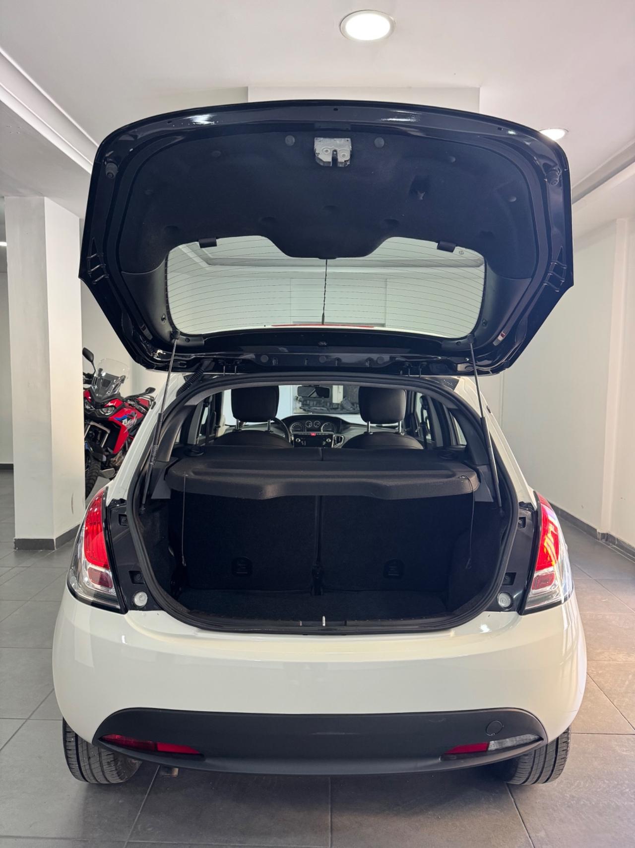 Lancia Ypsilon 1.3 MJT 16V 95 CV 5 porte S&S Platinum