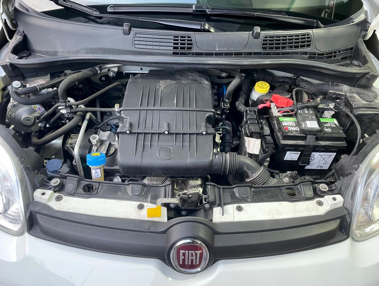 Fiat Panda 1.2 EasyPower City Life Gpl di serie ITA IperFull