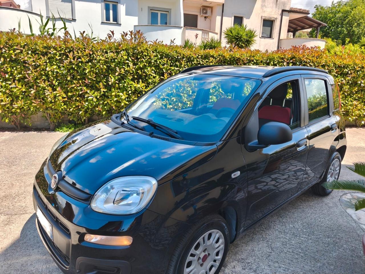 Fiat Panda 1.2 Benzina - 2015
