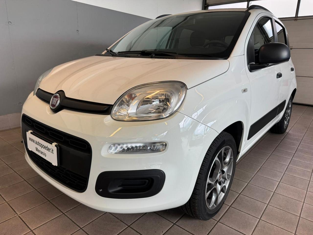Fiat Panda 1.2 Easy
