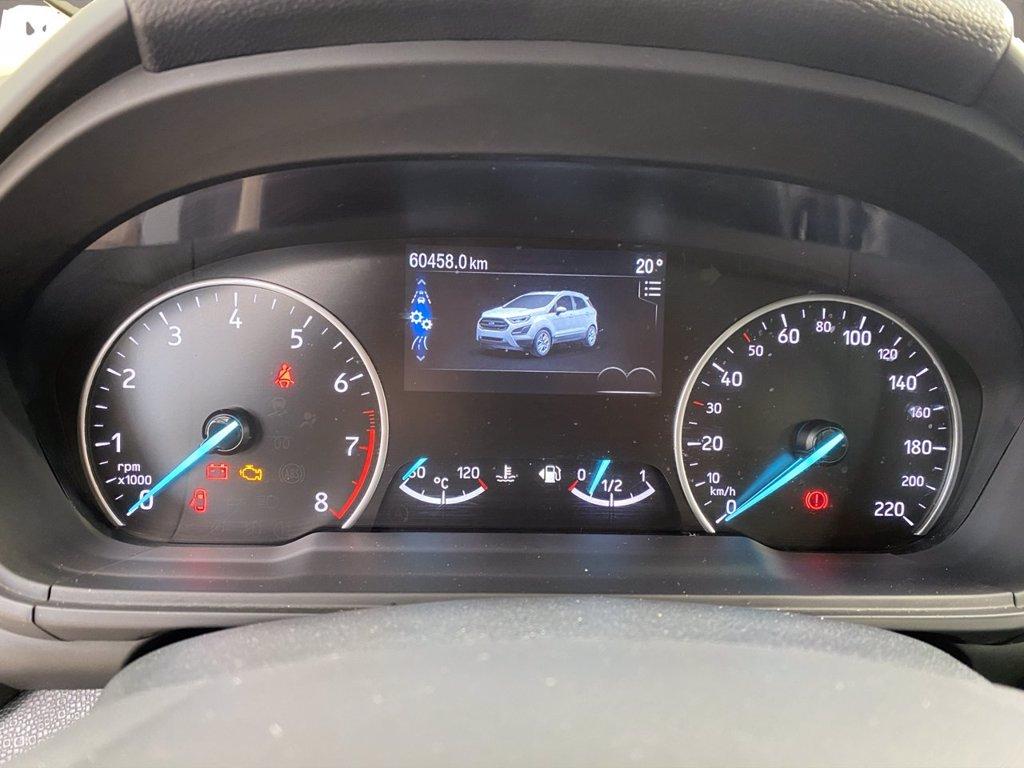 FORD EcoSport 1.0 ecoboost Active s&s 125cv del 2022