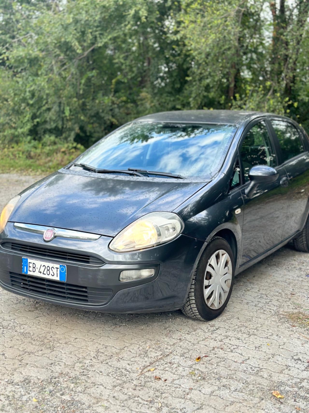 Fiat Punto Evo Punto Evo 1.2 5 porte Active