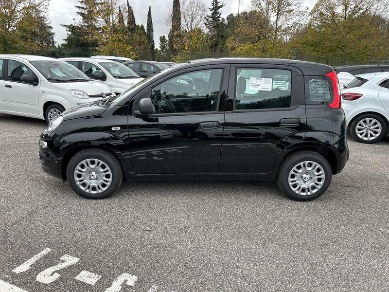 FIAT Panda New 1.0 70cv Hybrid Pop