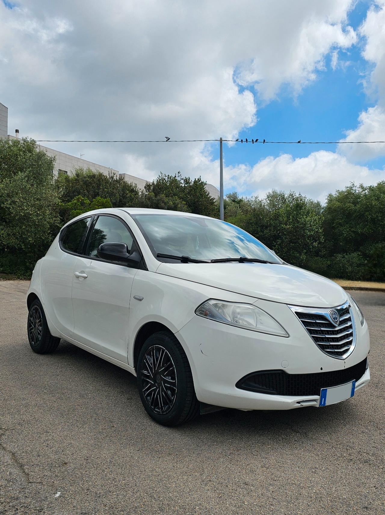 Lancia Ypsilon 1.2 69 CV 5 porte Elefantino Rosa