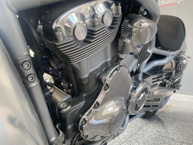 HARLEY-DAVIDSON 1130 V-ROD - VRSCA EDIZIONE LIMITATA RARA COLORAZIONE "28.000KM"