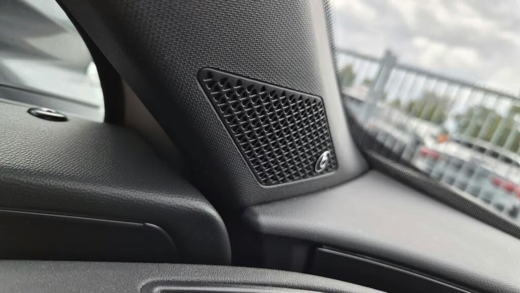 Cupra Formentor 2.0 TDI Matrix LED AHK Sound Ambient
