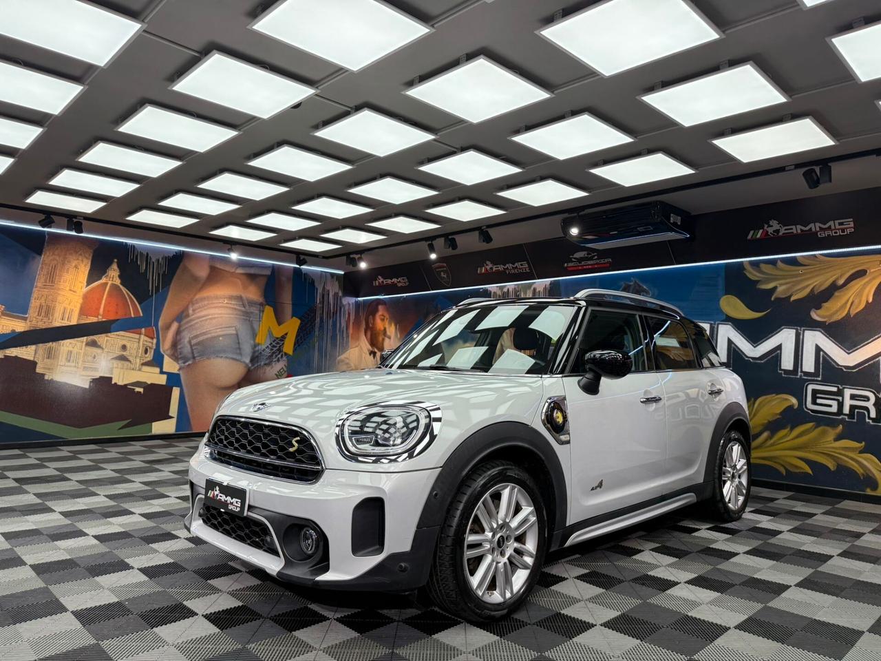 Mini Cooper 1.5 Countryman SE Hype ALL4 Automatica (314)