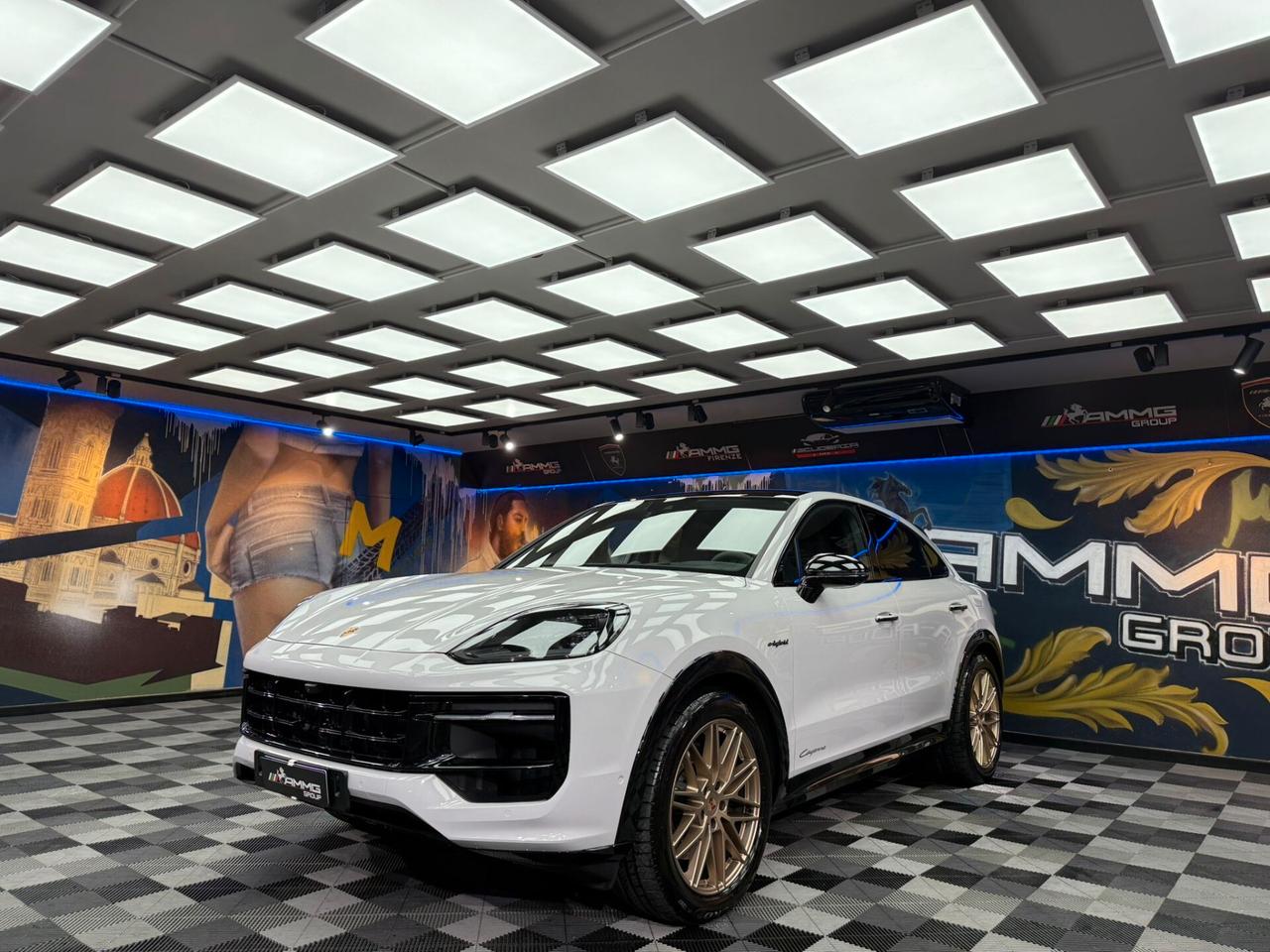 Porsche Cayenne 3.0 V6 E-Hybrid (483)