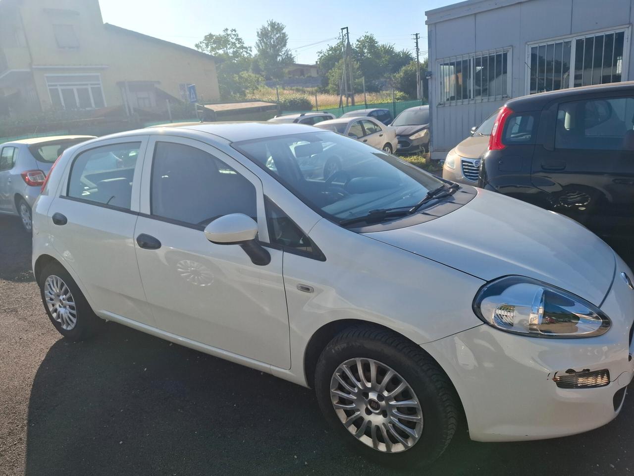 Fiat Punto 1.2 8V 5 porte Street NEOPATENTATI