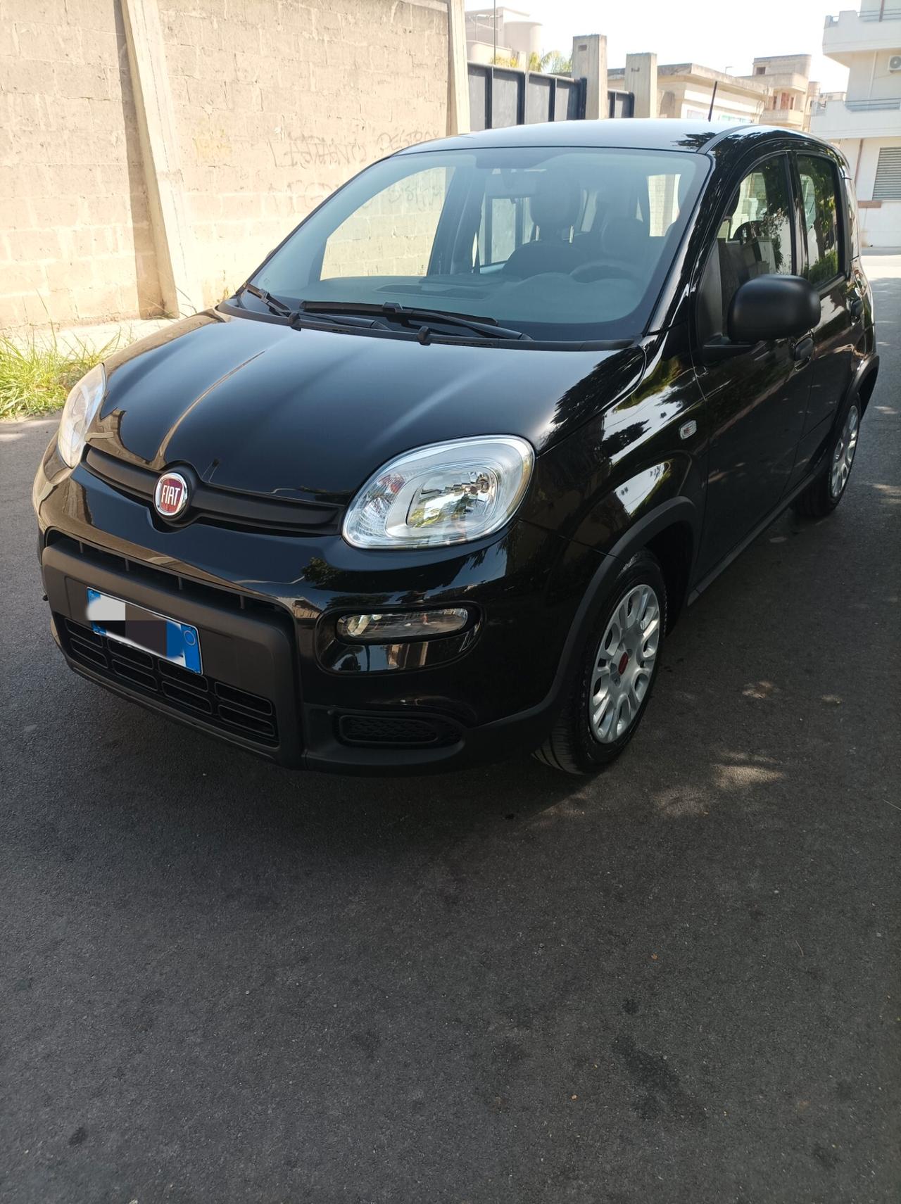 Fiat Panda 1.0 FireFly S&S Hybrid - 2023