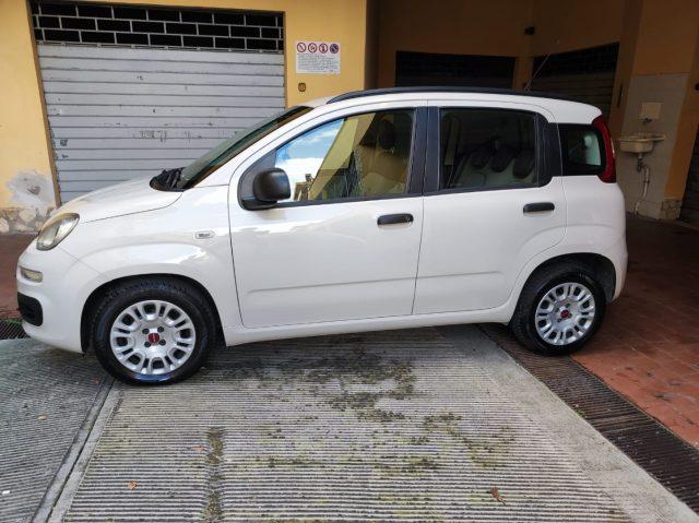 FIAT Panda 1.2 Pop