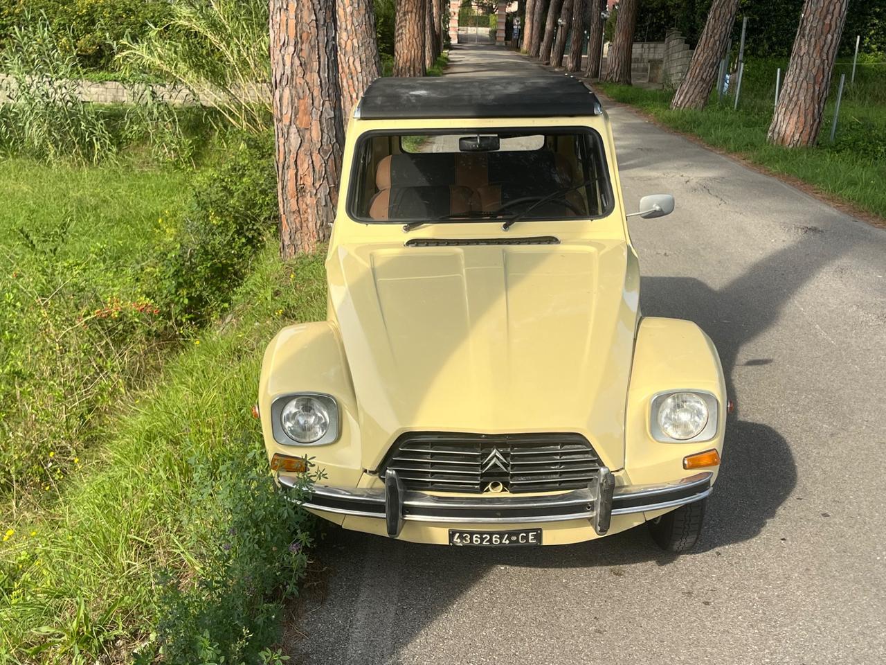 Citroen Dyane 6 - 1979