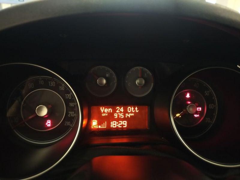 FIAT Punto Punto 1.4 8V 5 porte Natural Power Young