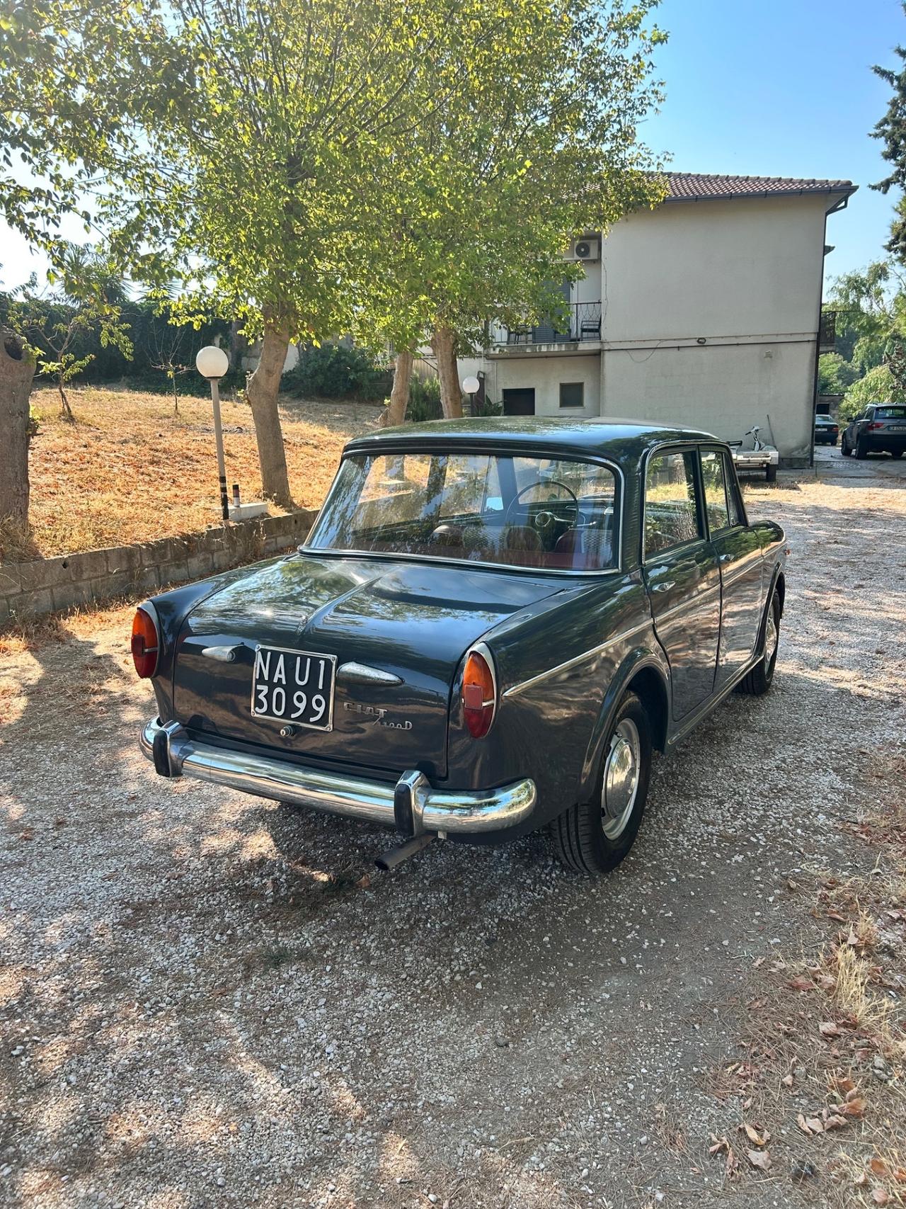Fiat 1100 d 1964