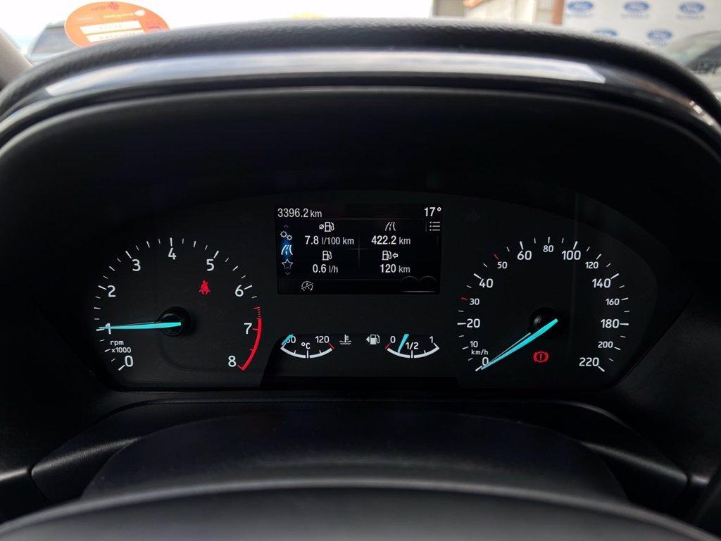 FORD Fiesta 1.0 Ecoboost Hybrid 125 CV 5 porte ST-Line del 2024