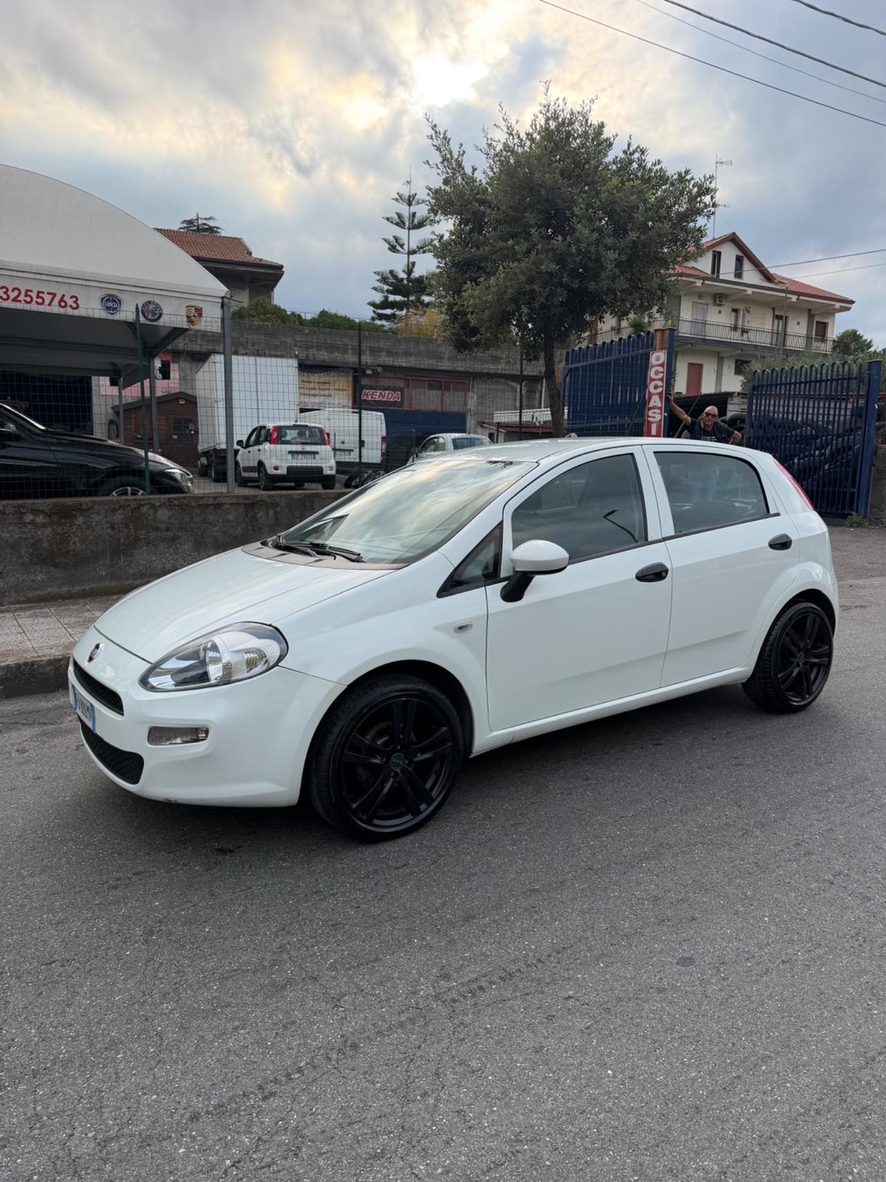 Fiat Punto 1.3 MJT II 75 CV 5 porte Street