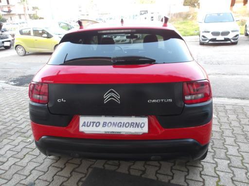 Citroen C4 Cactus 1.6 bluehdi Shine 100cv
