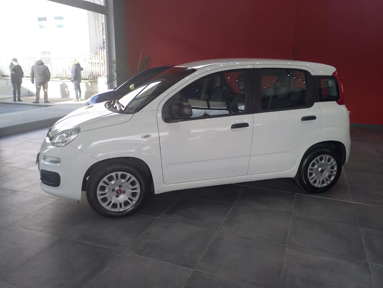 Fiat Panda 1.2 Easy