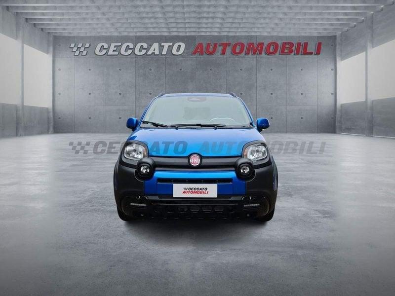 FIAT Panda Panda My25 1.0 70cv Hybrid Pandina