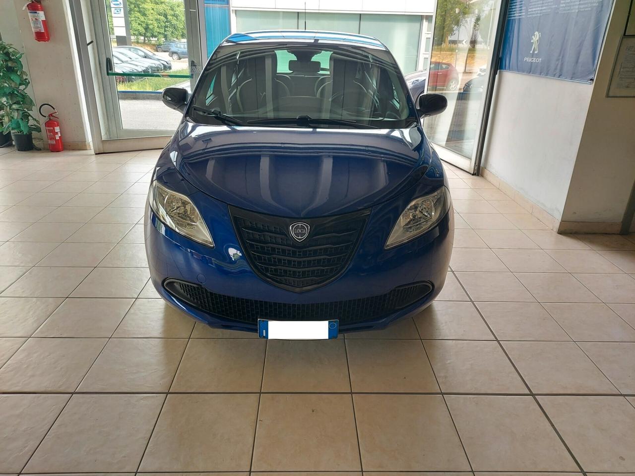 Lancia Ypsilon 1.2 69 CV 5 porte Elefantino NEOPATENTATI POCHI CHILOMETRI