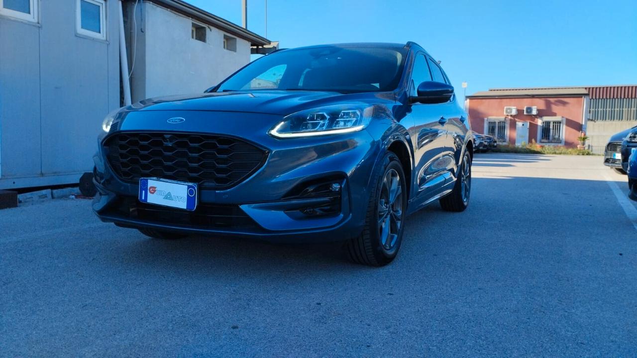Ford Kuga 1.5 EcoBlue 120 CV 2WD ST-Line X