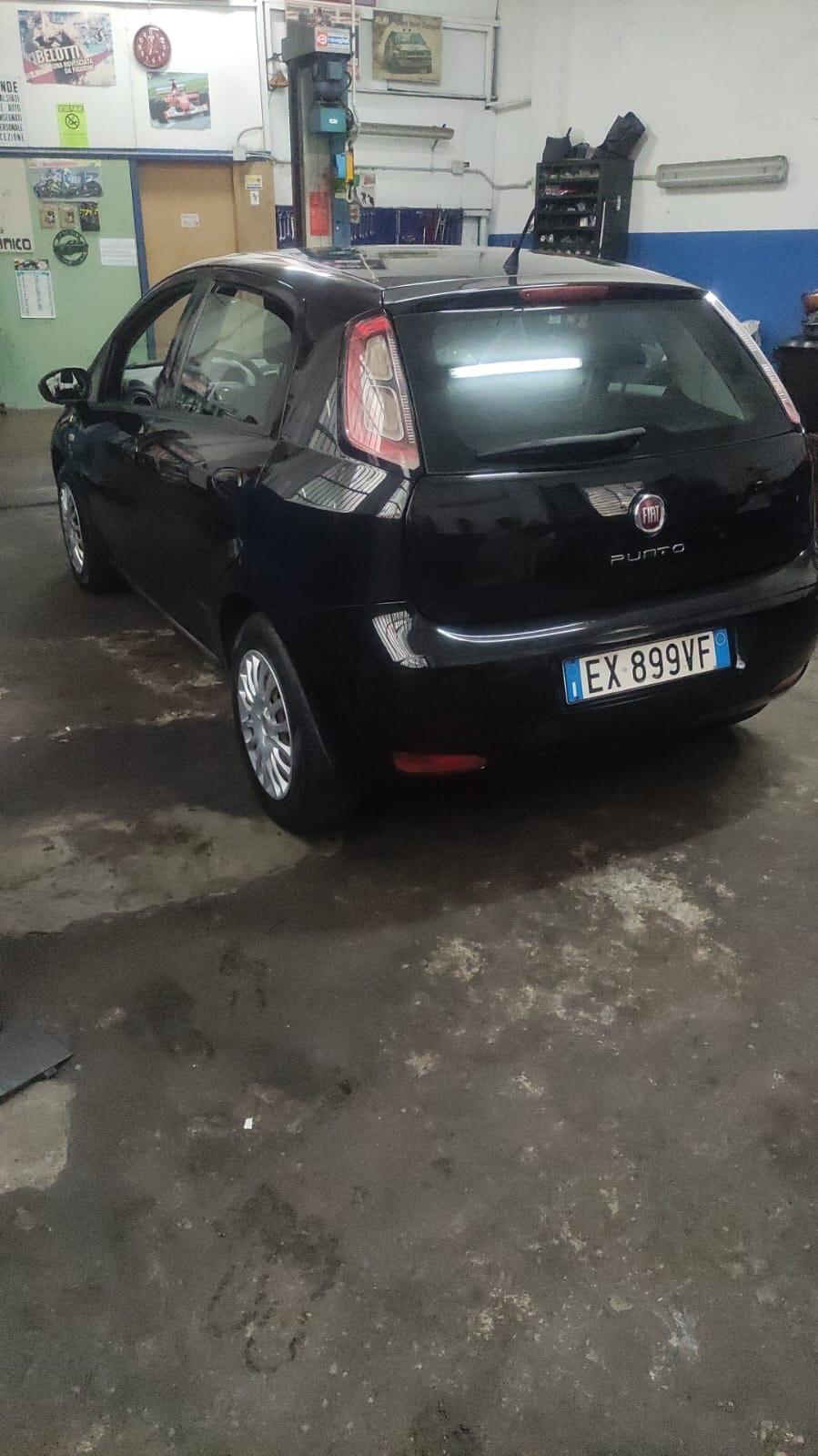 Fiat Punto 1.2 8V 5 porte Street
