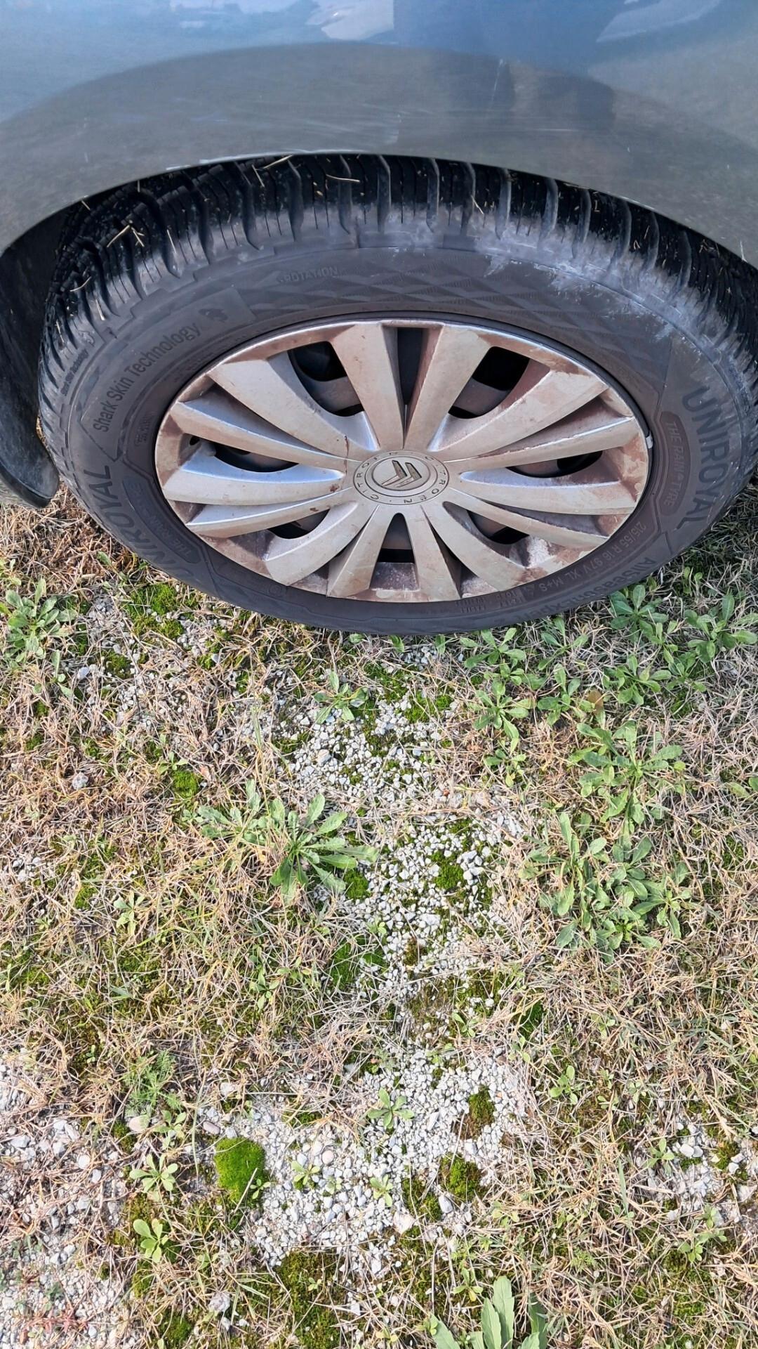 Citroen C4 Picasso 1.6 HDi 110 FAP Elegance x Commercianti