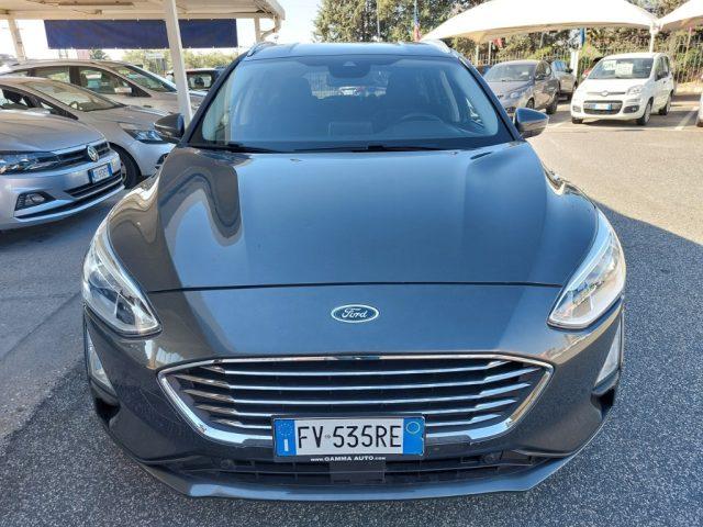 FORD Focus 1.5 EcoBlue 120 CV SW Business