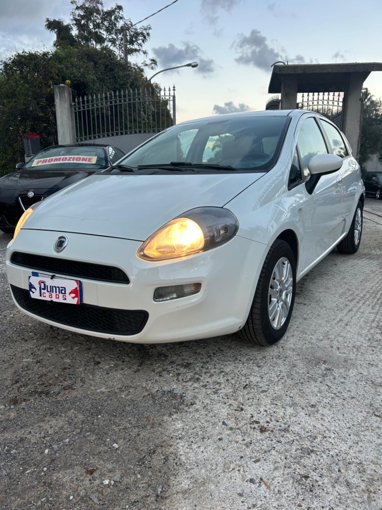 Fiat Punto Evo Punto Evo 1.3 Mjt 75 CV DPF 5 porte S&S Dynamic