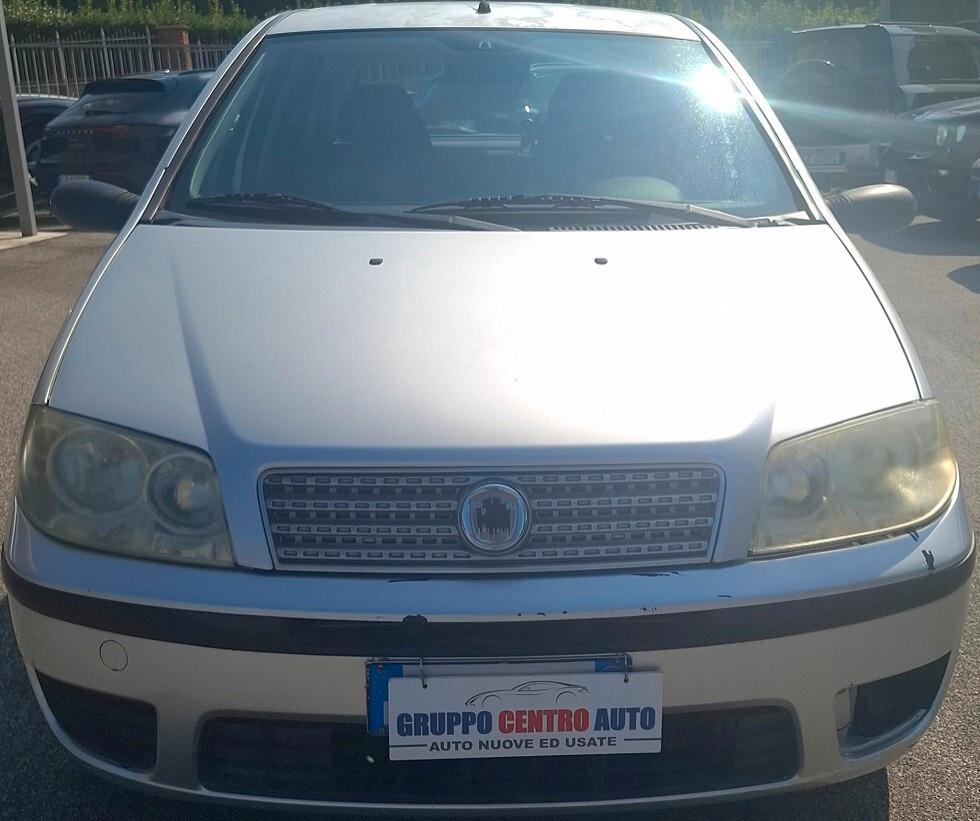 Fiat Punto 1.2 Active 5 porte - 2009