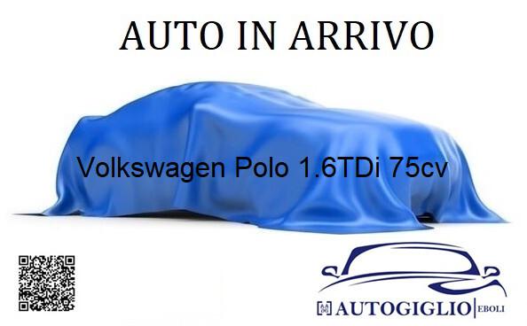 Volkswagen Polo 1.6TDI 75CV anno 2010